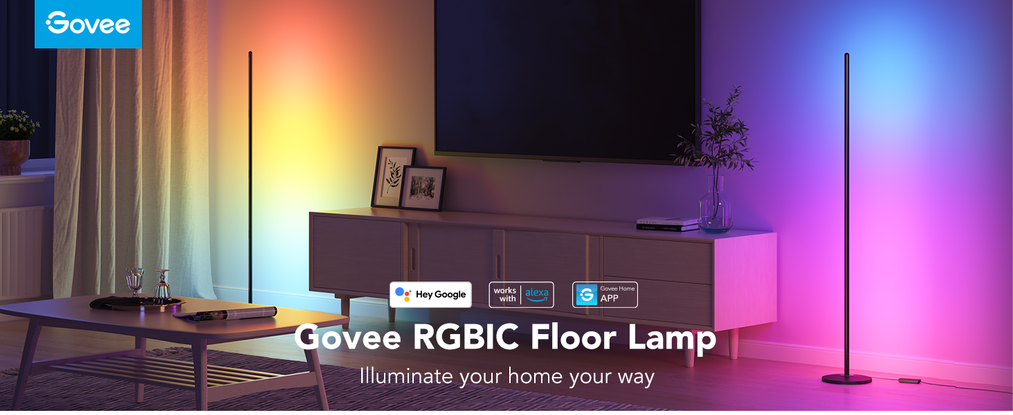 Govee LED Floor Lamp